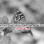 دانلود آهنگ «یه تو رگی میخوام یه داداشی» از شایع – گنگ و خیابانی بیس‌دار 🎧